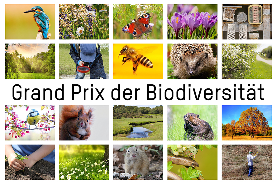 Wichtiger Schritt für Biodiversitätsstrategie 2030 BMK INFOTHEK