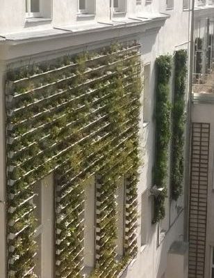 Paneele mit Moos sind eine unkomplizierte Alternative zur Montage von Pflanzbehältern an der Fassade. © Stadt der Zukunft