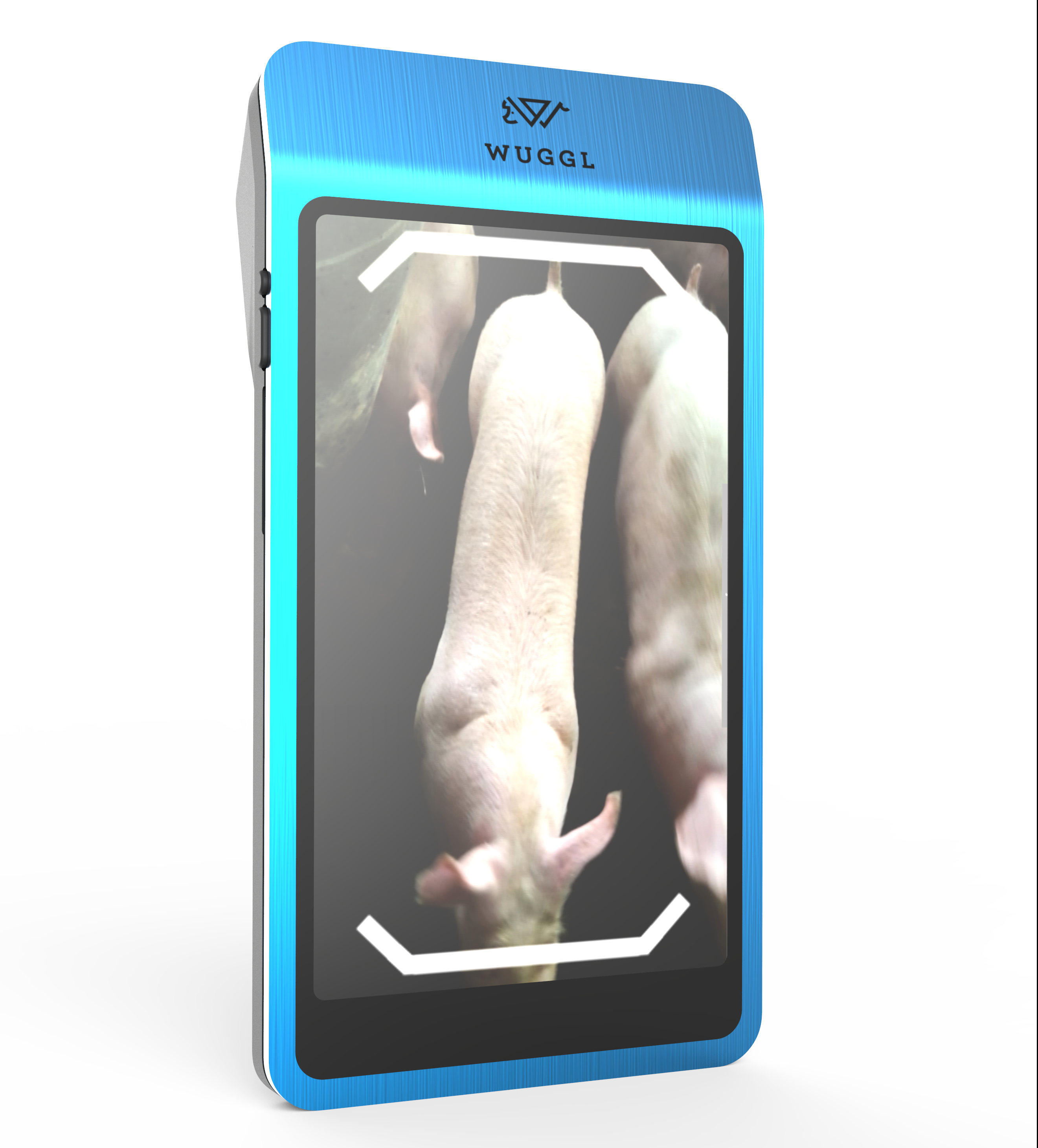 Das "WUGGL One" ist ein kleiner 3D-Scanner, der anhand von Fotos das Gewicht eines Schweins bestimmen kann. © WUGGL